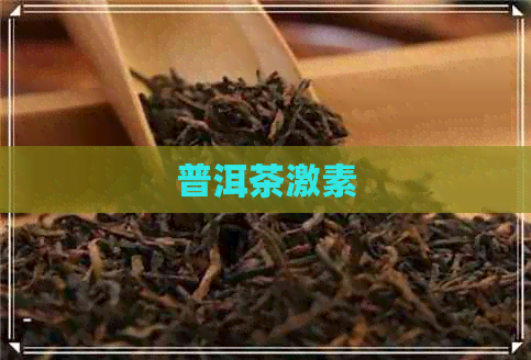 普洱茶激素