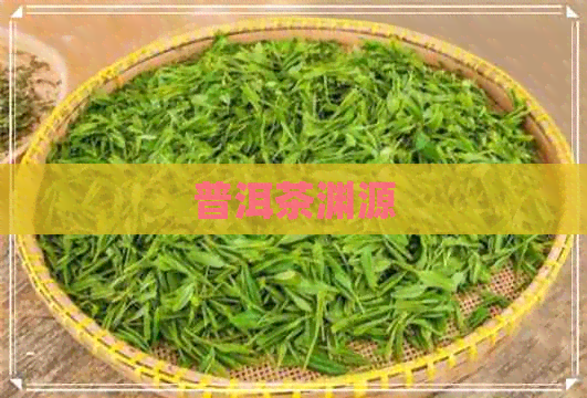 普洱茶渊源