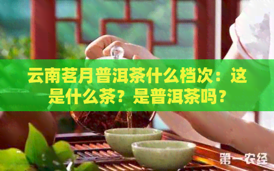 云南茗月普洱茶什么档次：这是什么茶？是普洱茶吗？