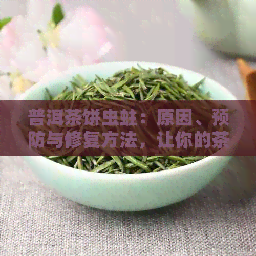 普洱茶饼虫蛀：原因、预防与修复方法，让你的茶叶保持完好无损！