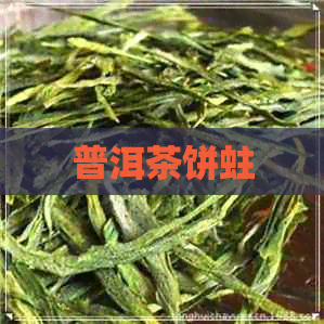 普洱茶饼蛀