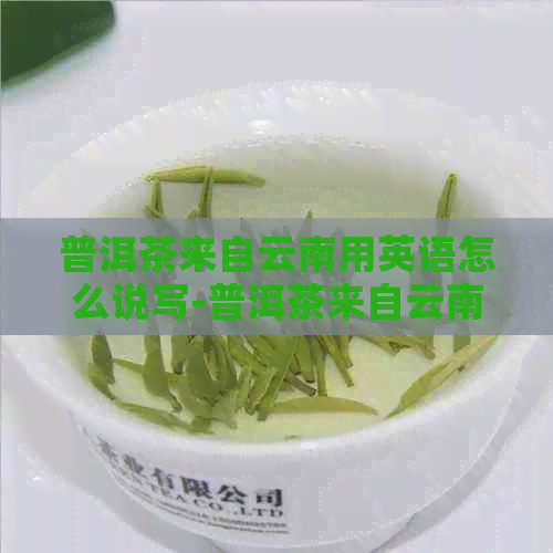 普洱茶来自云南用英语怎么说写-普洱茶来自云南用英语怎么说写的