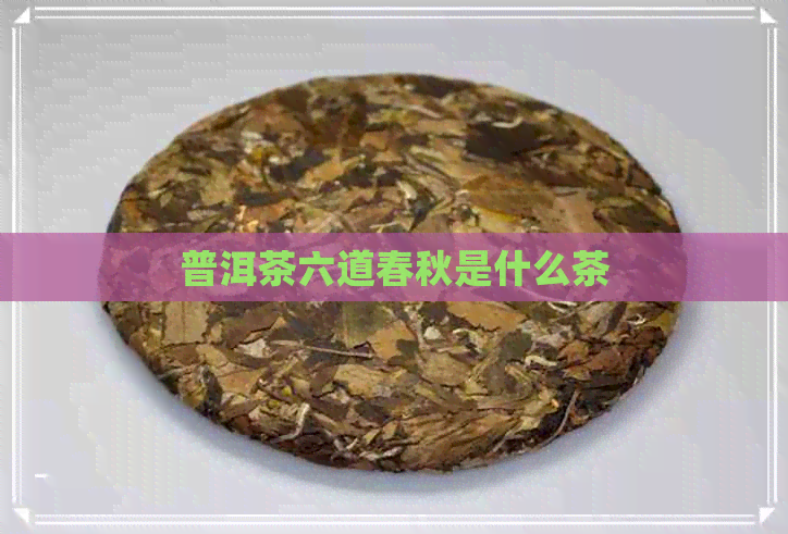 普洱茶六道春秋是什么茶