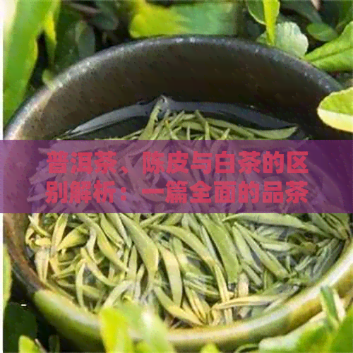 普洱茶、陈皮与白茶的区别解析：一篇全面的品茶知识文章