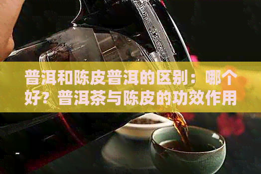 普洱和陈皮普洱的区别：哪个好？普洱茶与陈皮的功效作用详解