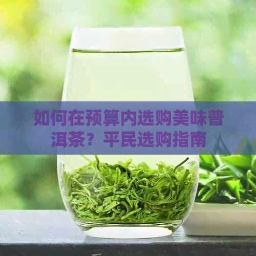 如何在预算内选购美味普洱茶？平民选购指南