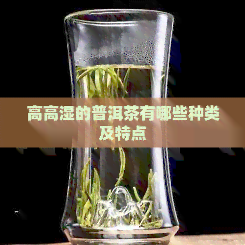 高高湿的普洱茶有哪些种类及特点