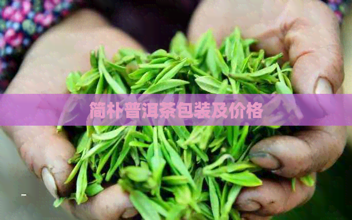 简朴普洱茶包装及价格