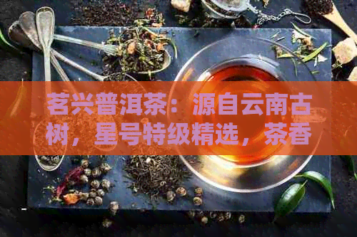 茗兴普洱茶：源自云南古树，星号特级精选，茶香四溢，回味悠长