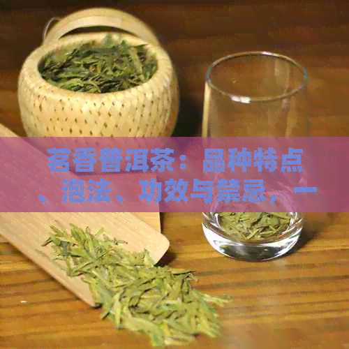 茗香普洱茶：品种特点、泡法、功效与禁忌，一篇全面解析