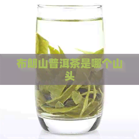 布朗山普洱茶是哪个山头