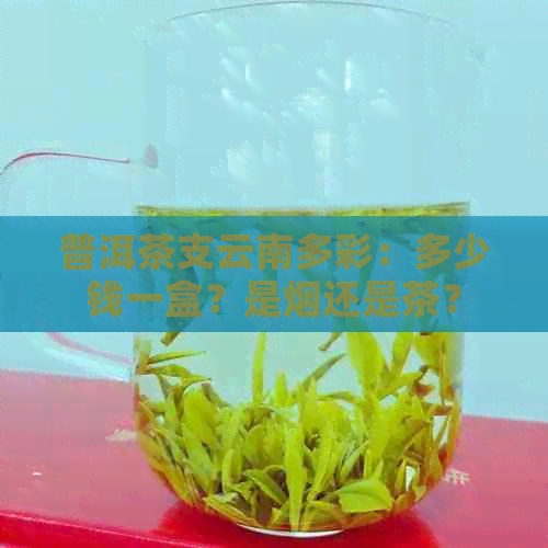 普洱茶支云南多彩：多少钱一盒？是烟还是茶？