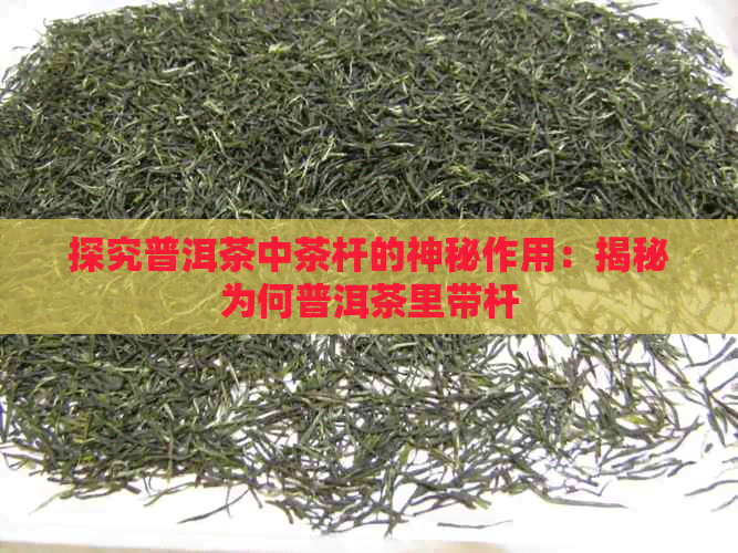 探究普洱茶中茶杆的神秘作用：揭秘为何普洱茶里带杆