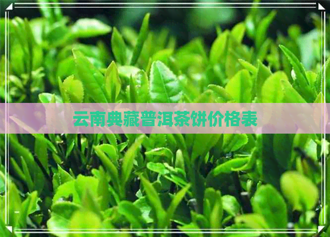 云南典藏普洱茶饼价格表