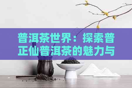 普洱茶世界：探索普正仙普洱茶的魅力与传奇