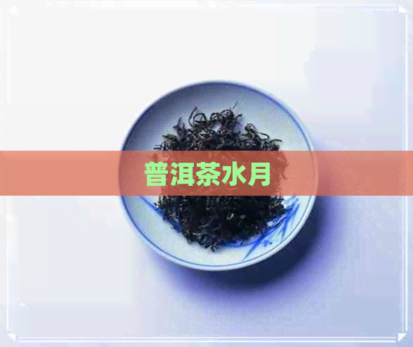 普洱茶水月