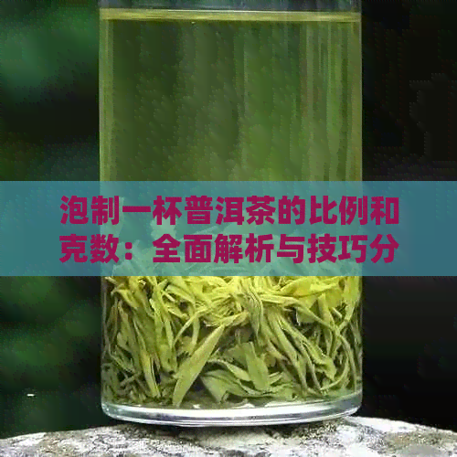 泡制一杯普洱茶的比例和克数：全面解析与技巧分享