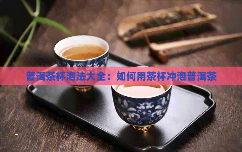 普洱茶杯泡法大全：如何用茶杯冲泡普洱茶