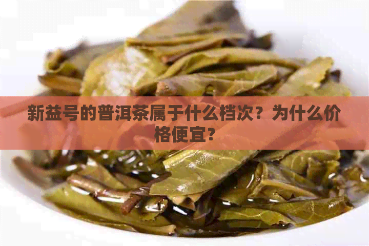 新益号的普洱茶属于什么档次？为什么价格便宜？