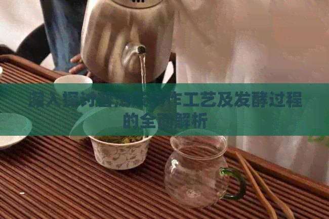 深入探讨普洱茶制作工艺及发酵过程的全面解析