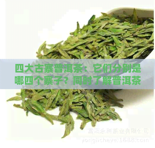 四大古寨普洱茶：它们分别是哪四个寨子？同时了解普洱茶的其他信息。