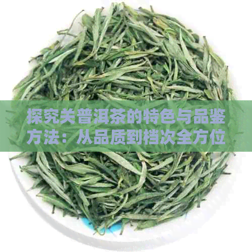 探究关普洱茶的特色与品鉴方法：从品质到档次全方位分析