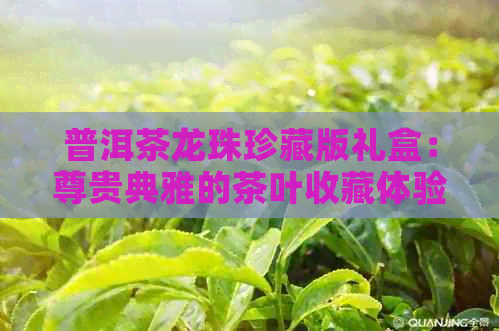 普洱茶龙珠珍藏版礼盒：尊贵典雅的茶叶收藏体验