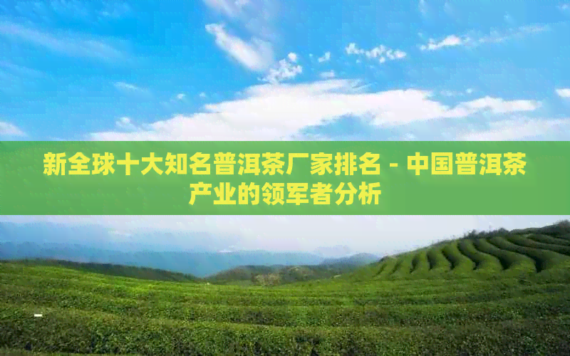 新全球十大知名普洱茶厂家排名 - 中国普洱茶产业的领军者分析