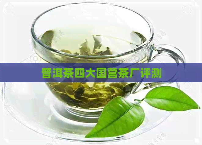 普洱茶四大国营茶厂评测