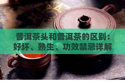 普洱茶头和普洱茶的区别：好坏、熟生、功效禁忌详解