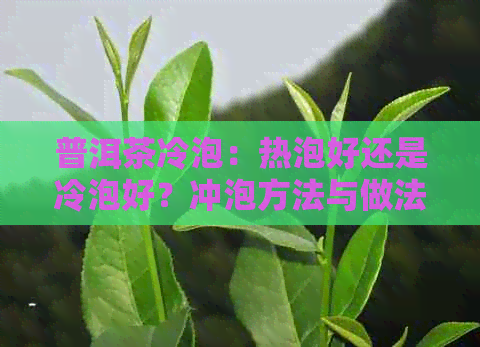 普洱茶冷泡：热泡好还是冷泡好？冲泡方法与做法详解。