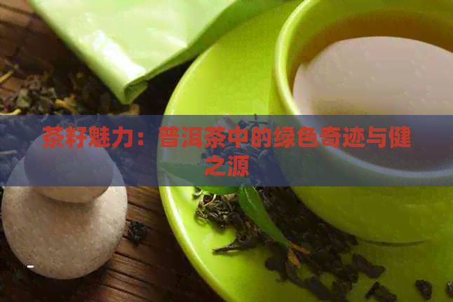 茶籽魅力：普洱茶中的绿色奇迹与健之源