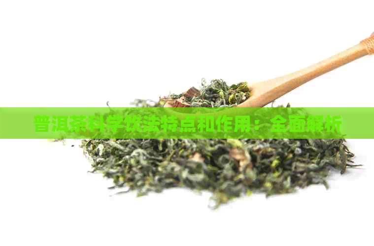 普洱茶科学饮法特点和作用：全面解析