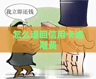 怎么退回信用卡逾期费