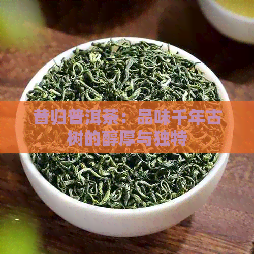 昔归普洱茶：品味千年古树的醇厚与独特