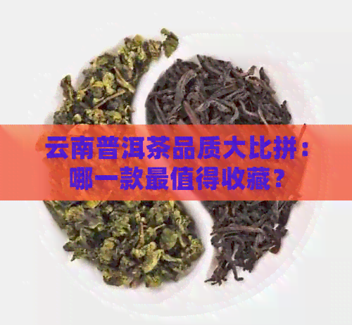 云南普洱茶品质大比拼：哪一款最值得收藏？