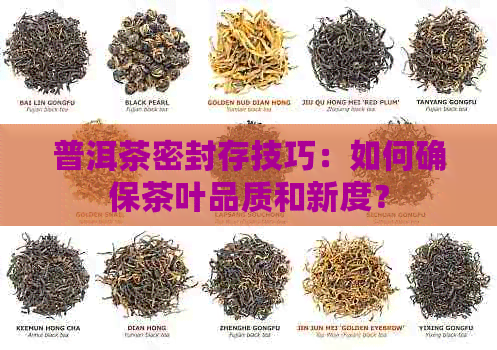 普洱茶密封存技巧：如何确保茶叶品质和新度？