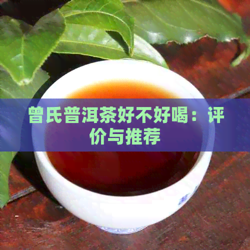 曾氏普洱茶好不好喝：评价与推荐