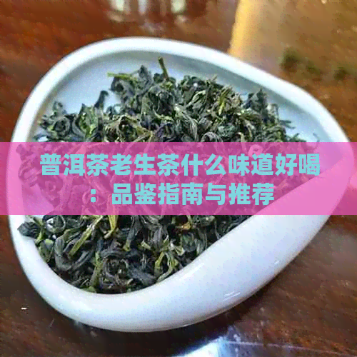 普洱茶老生茶什么味道好喝：品鉴指南与推荐