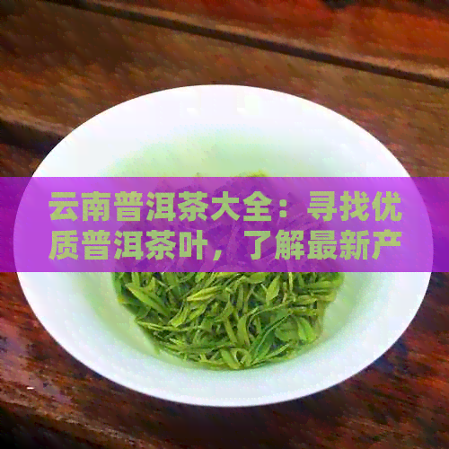 云南普洱茶大全：寻找优质普洱茶叶，了解最新产地与排名