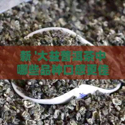 新 '大益普洱茶中哪些品种口感更佳？'