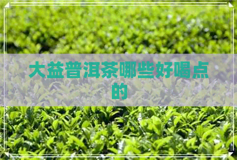 大益普洱茶哪些好喝点的