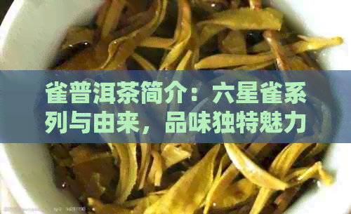 雀普洱茶简介：六星雀系列与由来，品味独特魅力