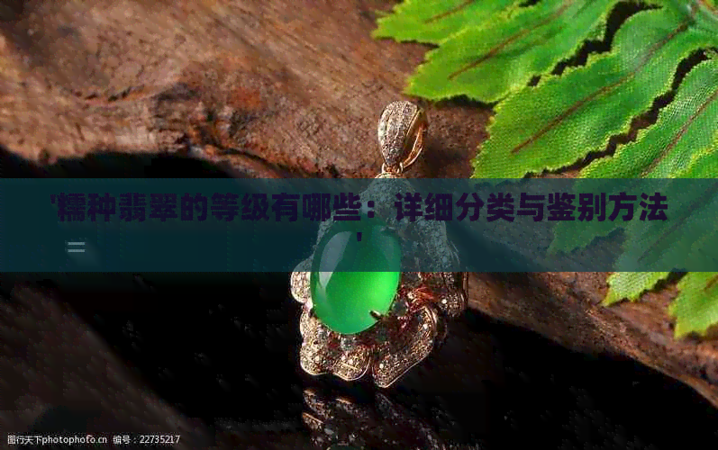 '糯种翡翠的等级有哪些：详细分类与鉴别方法'