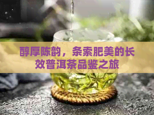 醇厚陈韵，条索肥美的长效普洱茶品鉴之旅