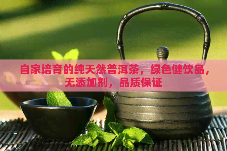 自家培育的纯天然普洱茶，绿色健饮品，无添加剂，品质保证