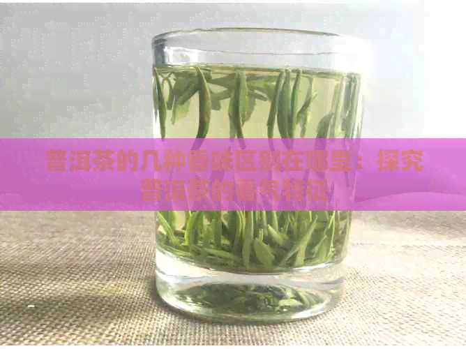 普洱茶的几种香味区别在哪里：探究普洱茶的香气特征