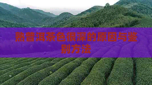 熟普洱茶色很深的原因与鉴别方法