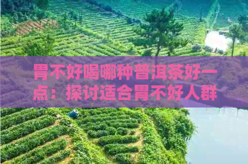 胃不好喝哪种普洱茶好一点：探讨适合胃不好人群的普洱茶及功效与作用