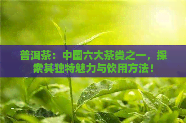 普洱茶：中国六大茶类之一，探索其独特魅力与饮用方法！